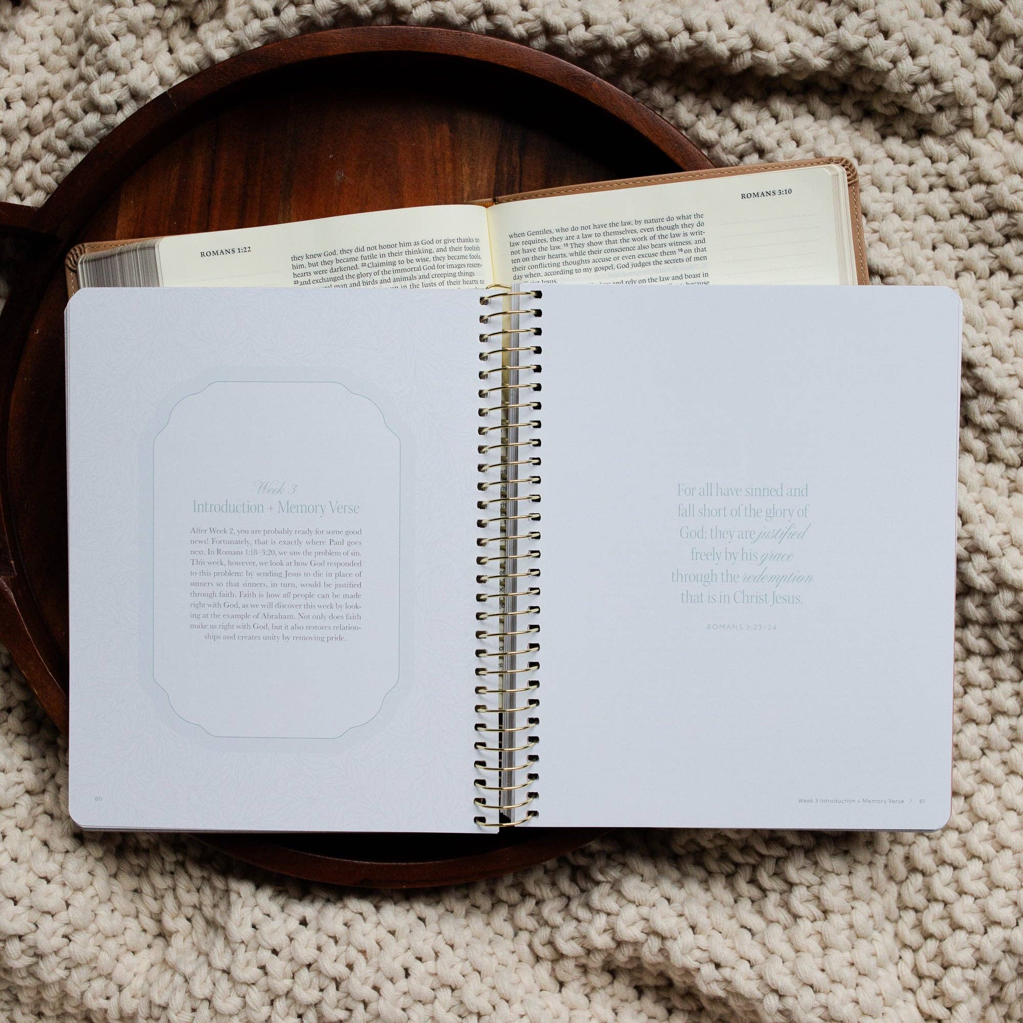 Study | In Christ Alone: A Study on the Book of Romans