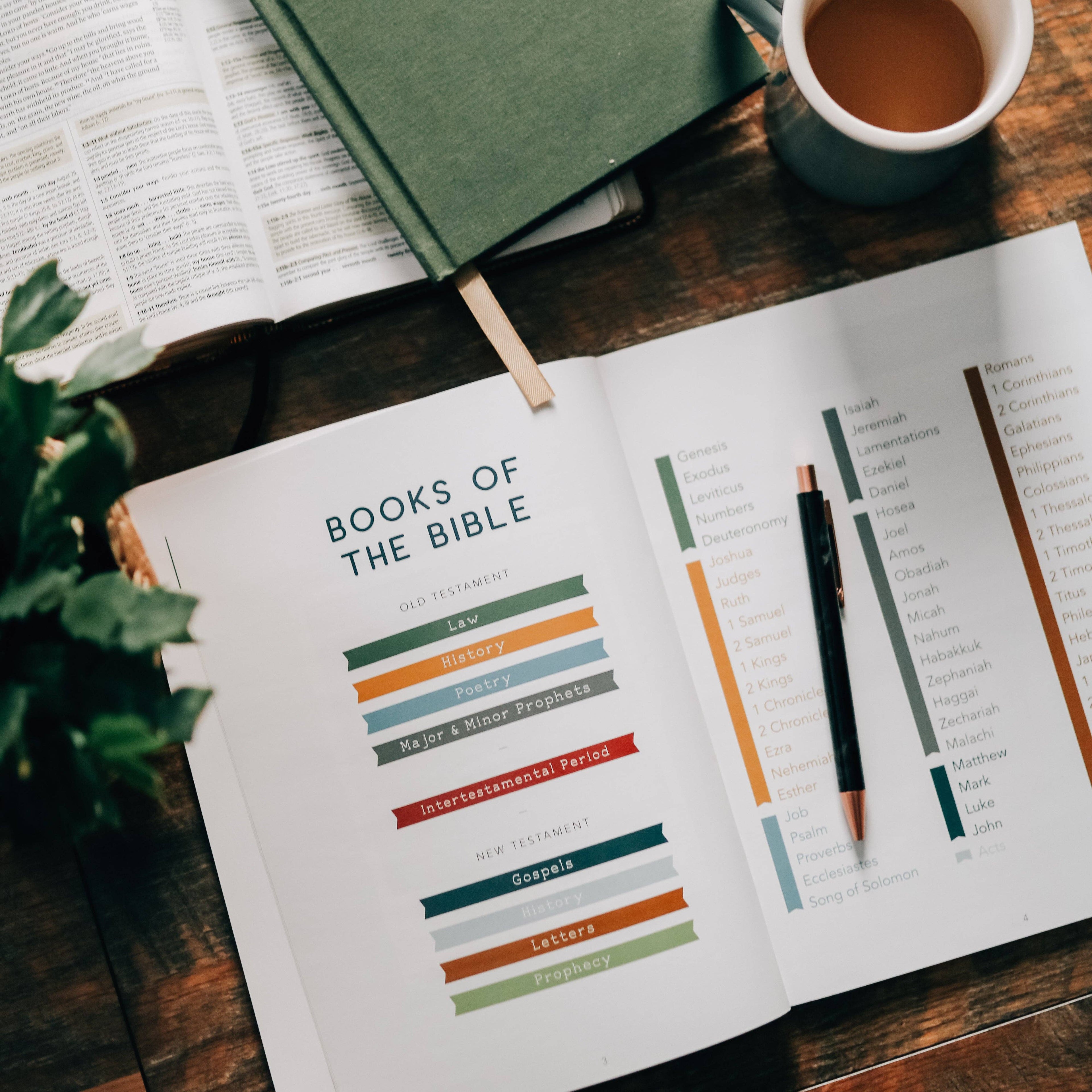 Study | Amen: The Story of Scripture from Eden to Eternity
