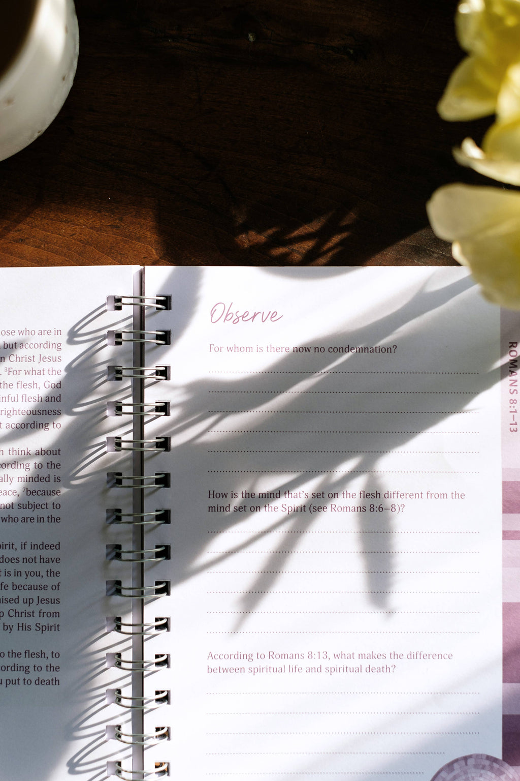 Study | Romans: An All-in-One Study on Salvation and New Life