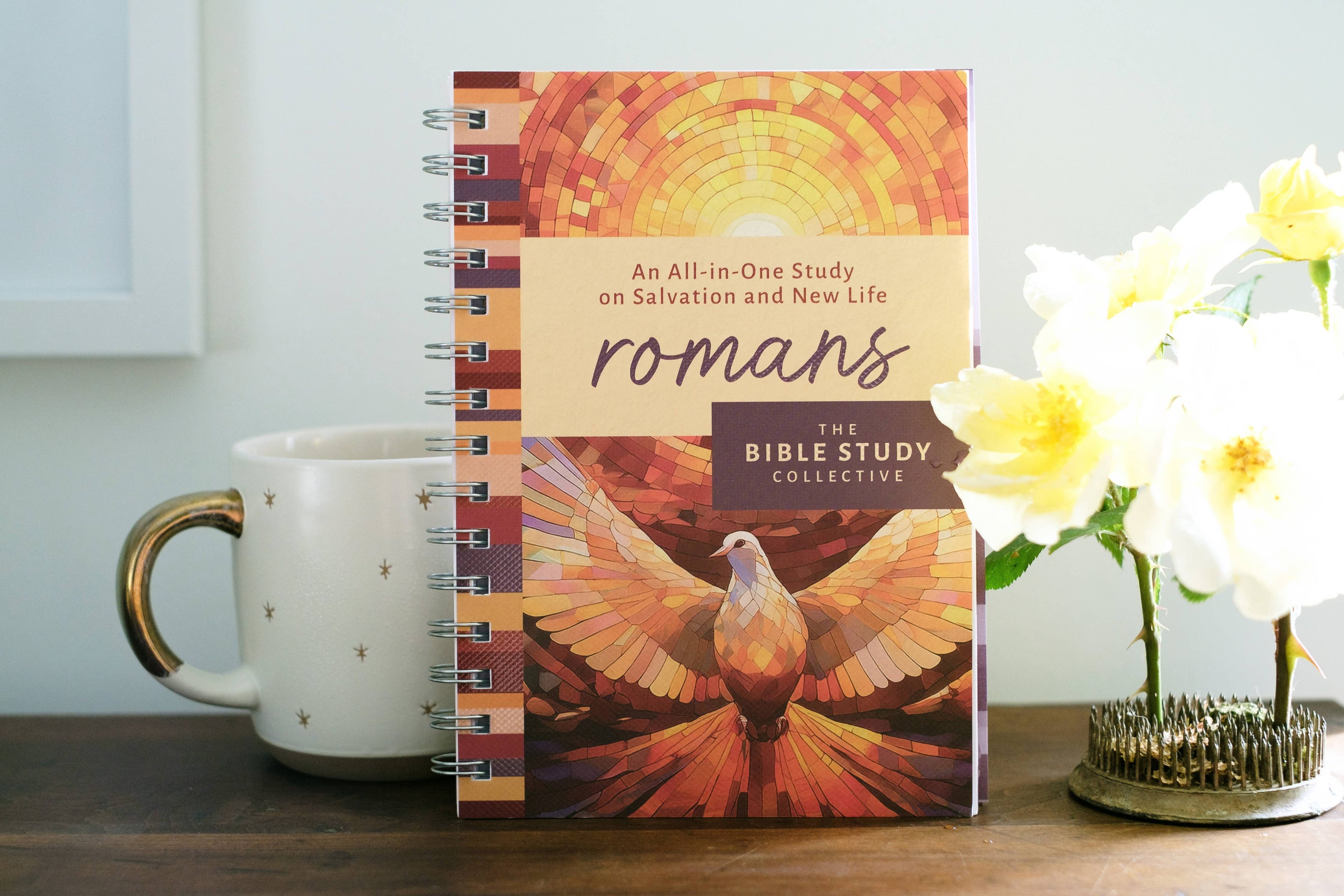 Study | Romans: An All-in-One Study on Salvation and New Life