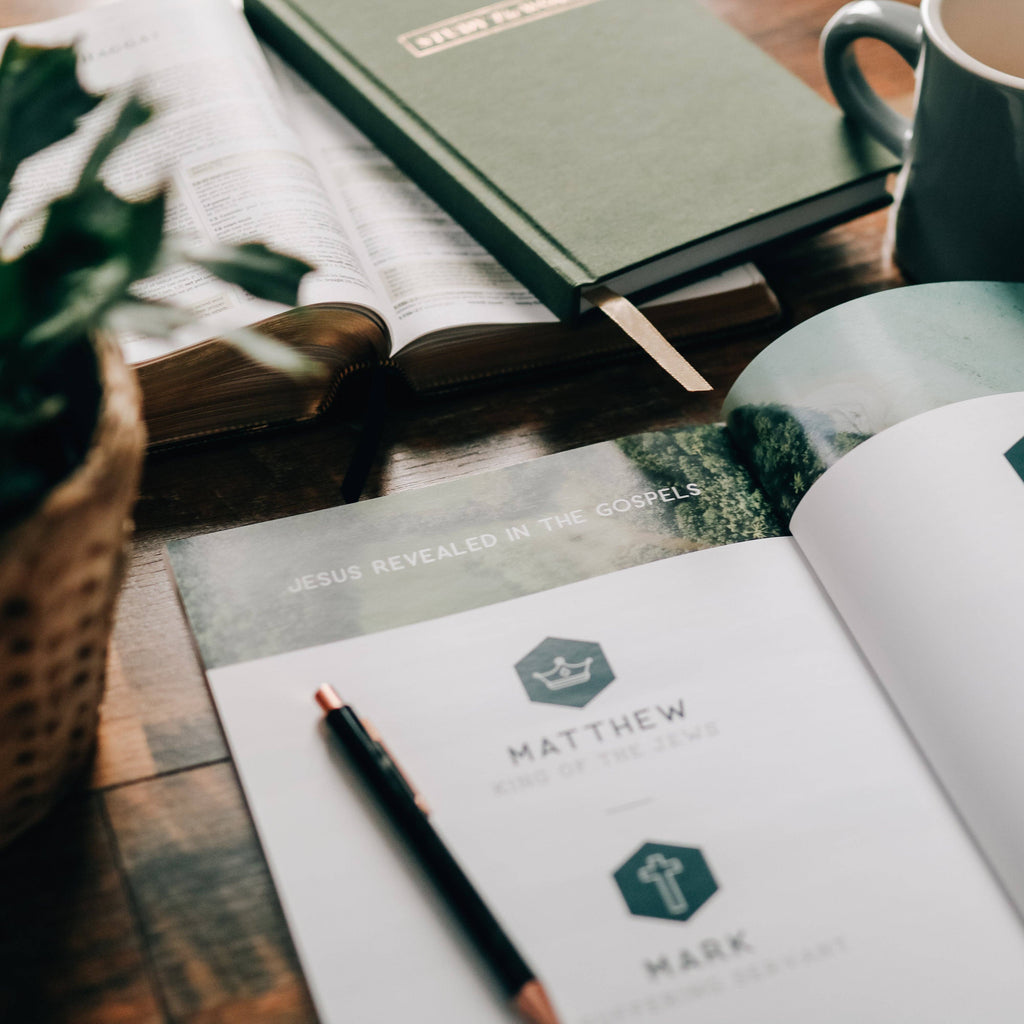 Study | Amen: The Story of Scripture from Eden to Eternity