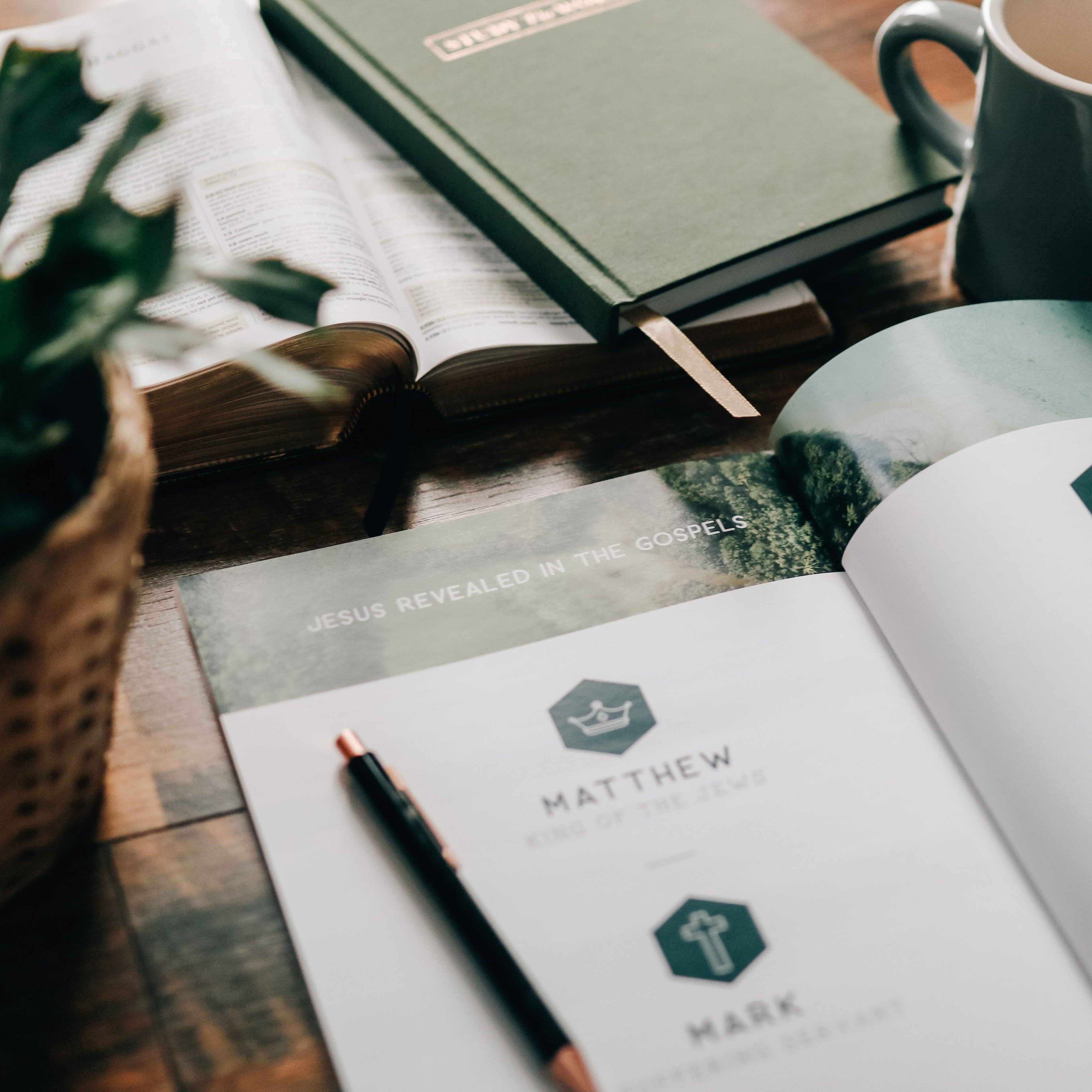 Study | Amen: The Story of Scripture from Eden to Eternity