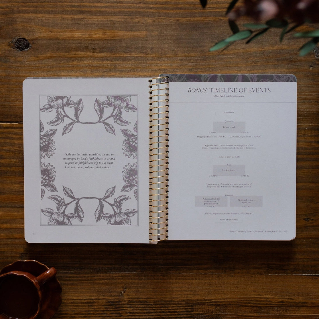 Bible Study | 365 Day Study