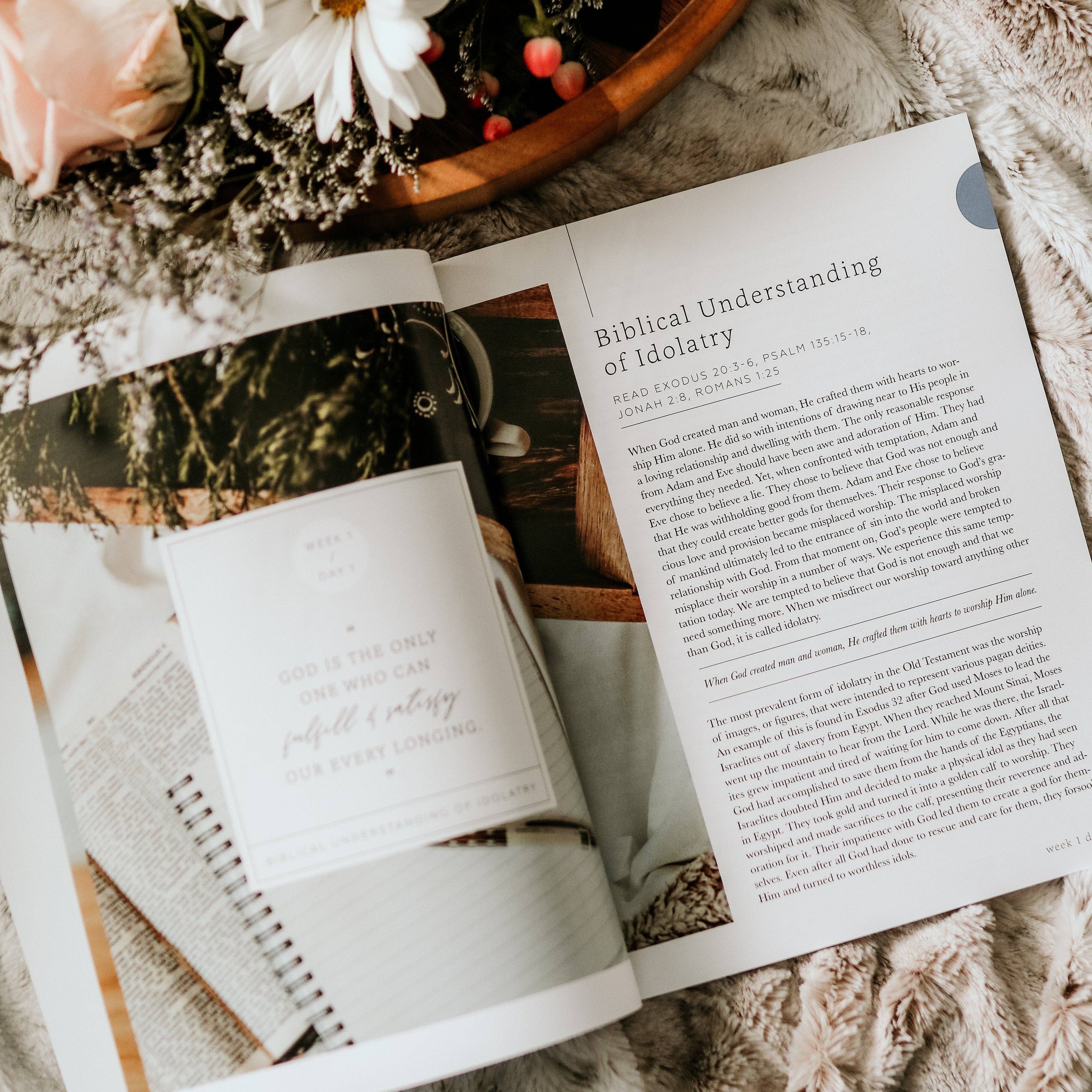 Study | More Than Anything