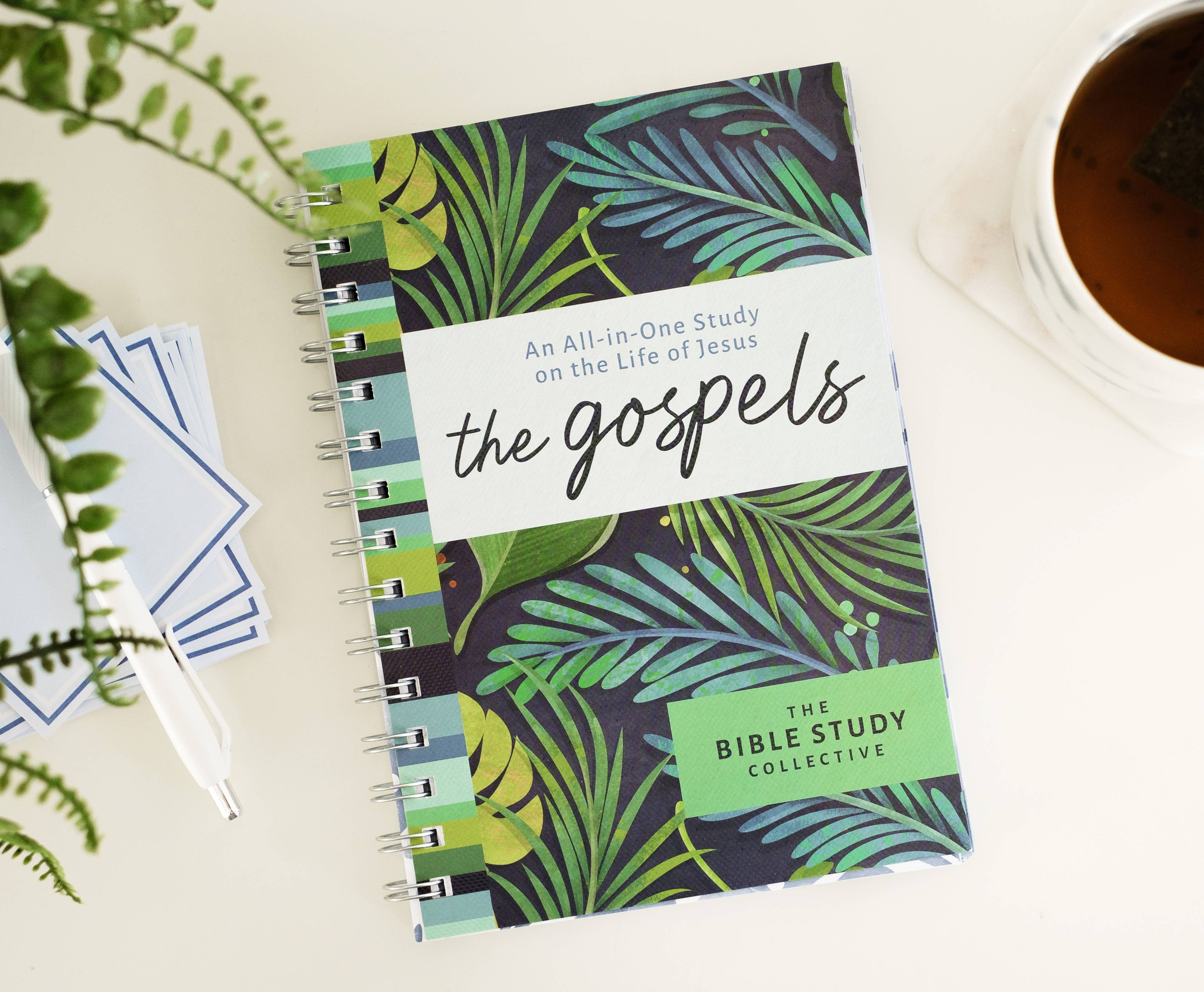 Study | The Gospels