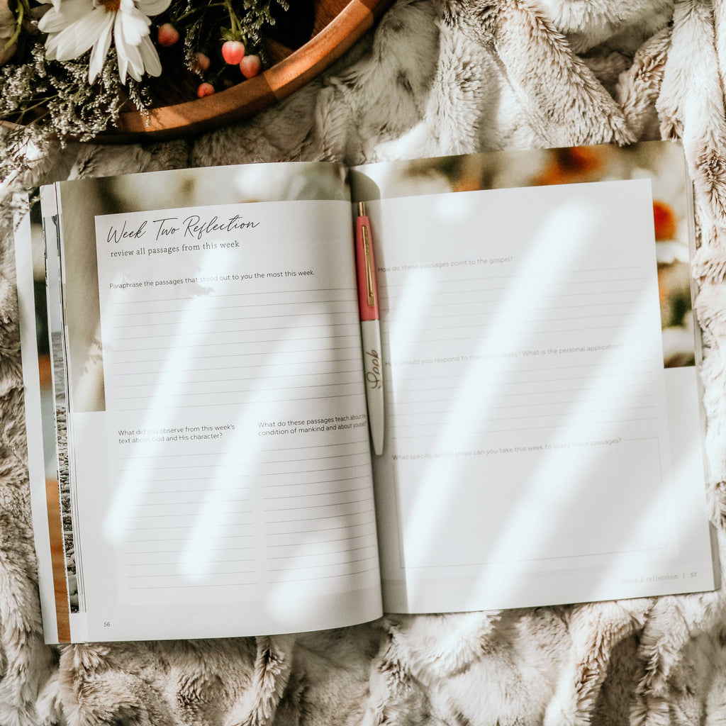Study | More Than Anything
