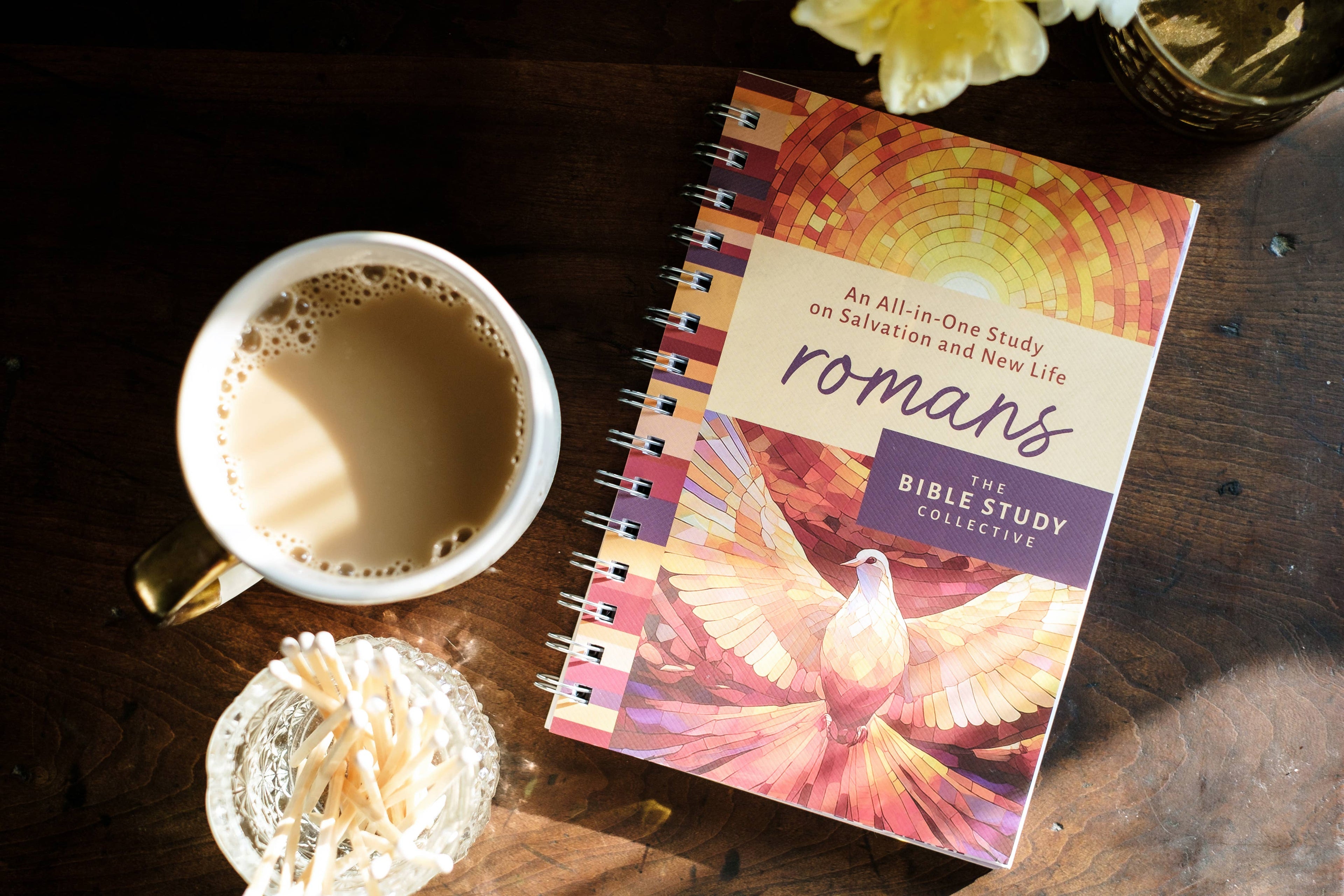 Study | Romans: An All-in-One Study on Salvation and New Life
