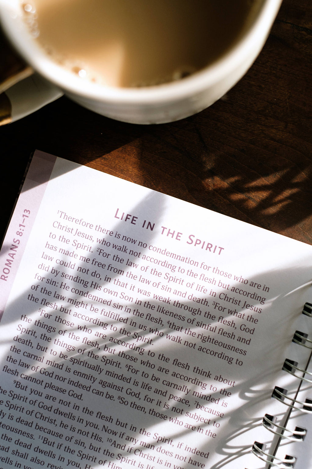 Study | Romans: An All-in-One Study on Salvation and New Life
