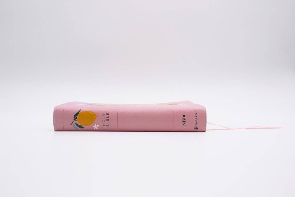Bible | NIV Journal The Word Bible