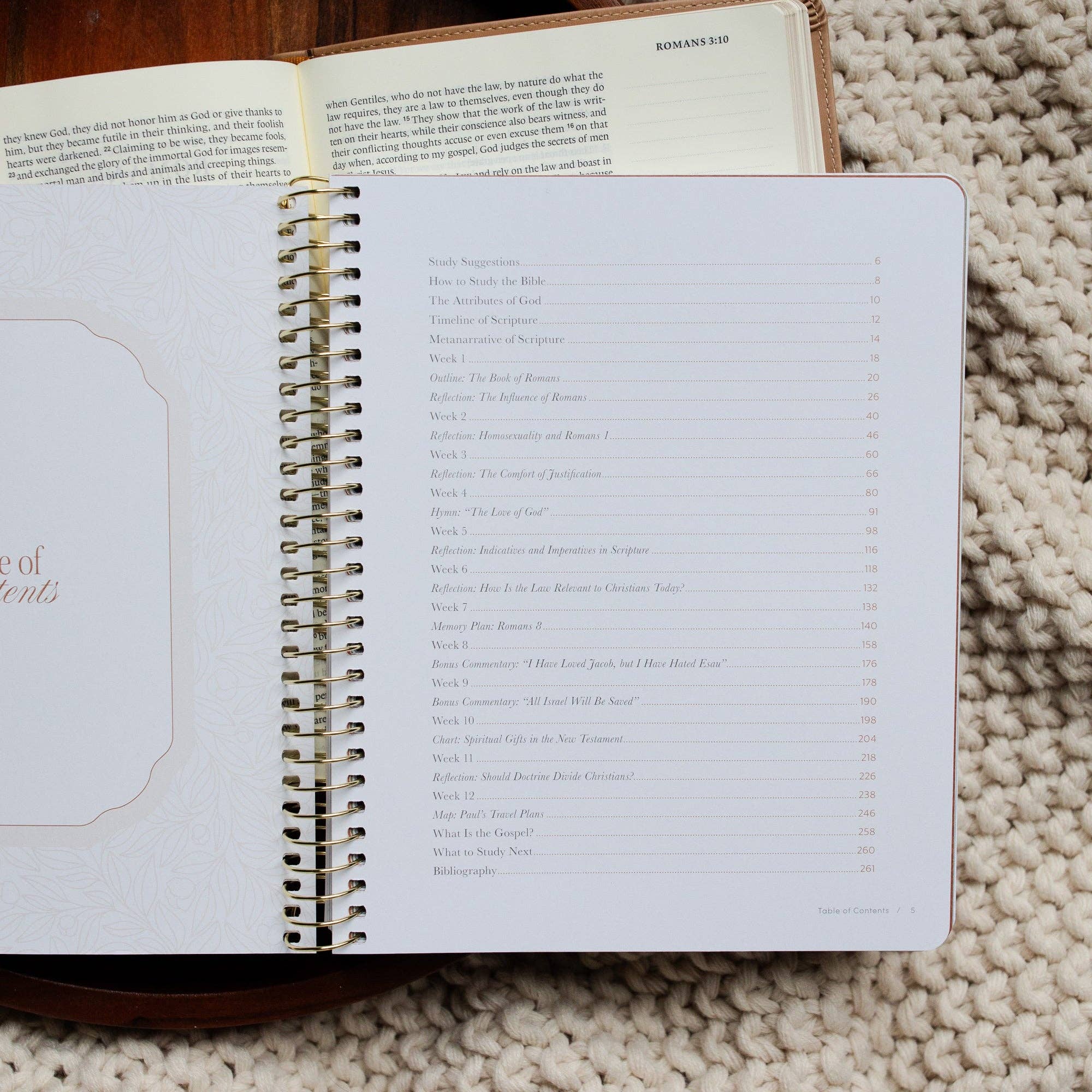Study | In Christ Alone: A Study on the Book of Romans