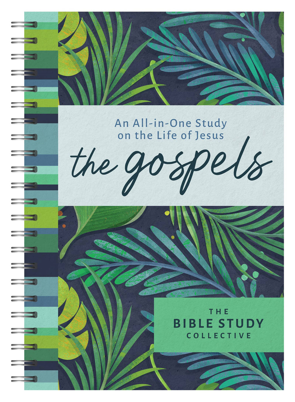 Study | The Gospels