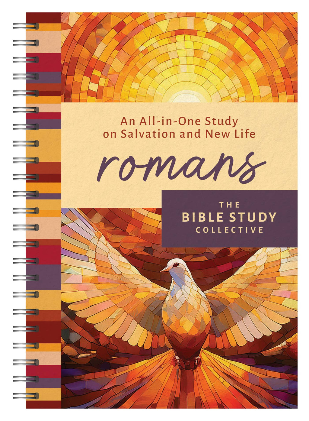 Study | Romans: An All-in-One Study on Salvation and New Life