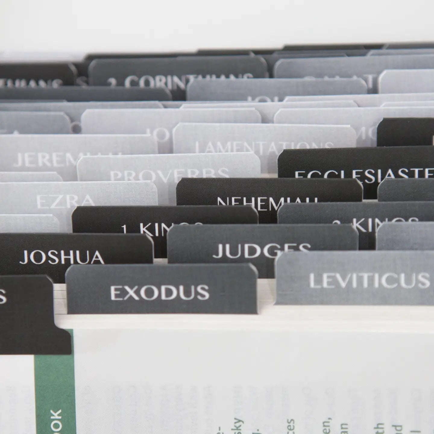 Bible Tabs | Grey