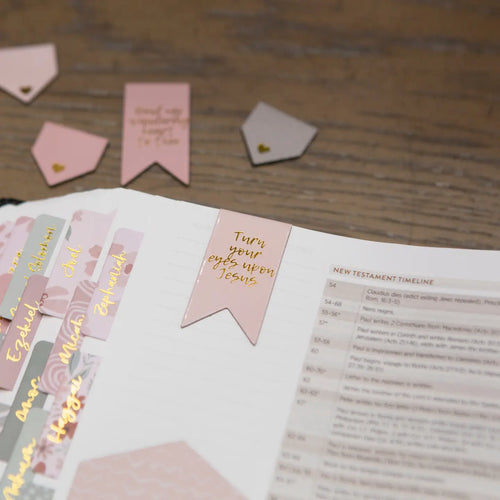 Bible Bookmarks | Magnetic Bookmarks- Pink & Grey
