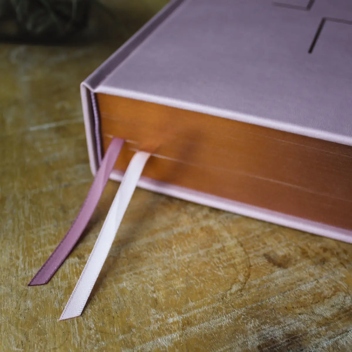 Bible | ESV The Jesus Bible Leathersoft Over Board Pink