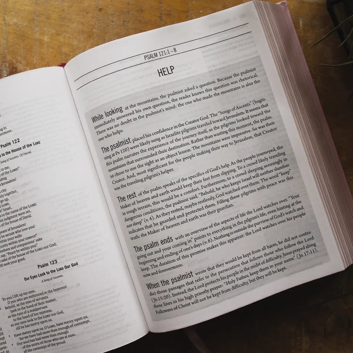 Bible | ESV The Jesus Bible Leathersoft Over Board Pink