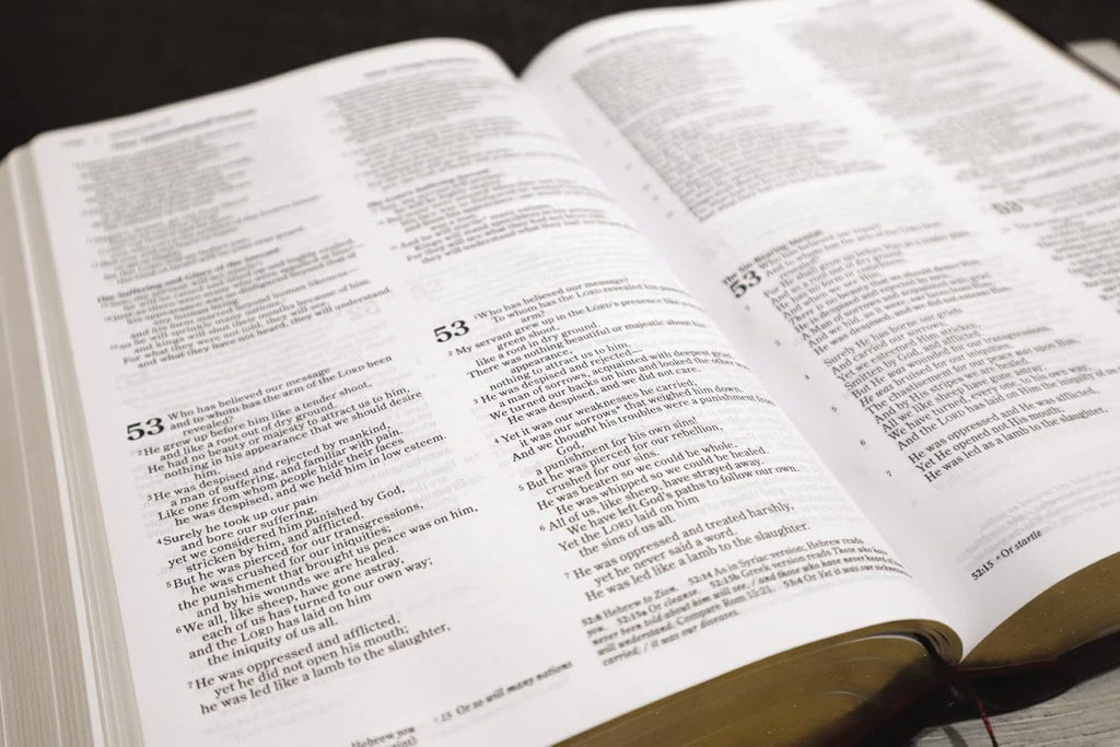 Bible | Parallel Bible - NIV/KKJV/NLT/MSG