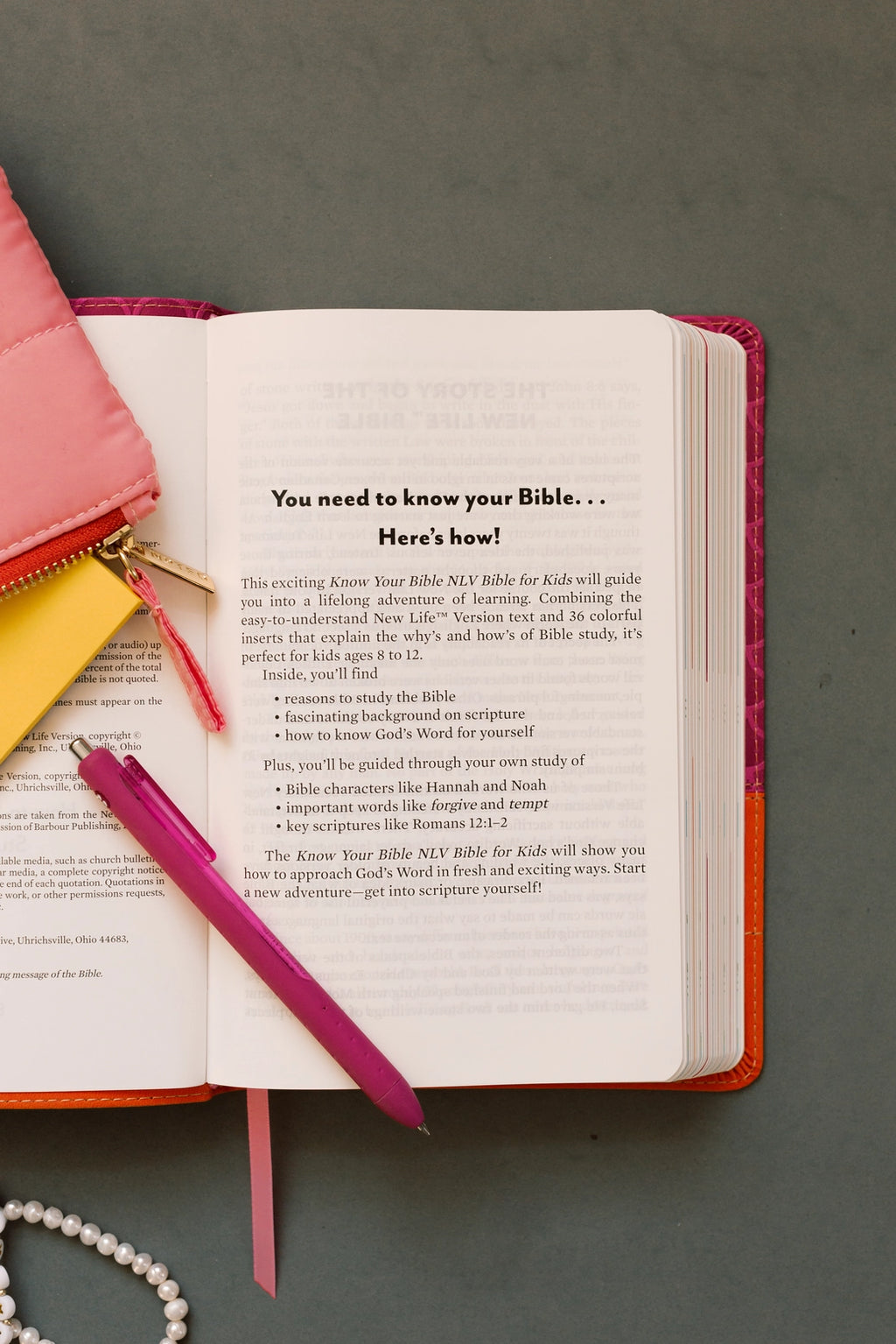 Bible | Know Your Bible NLV BIble for Kids- Pink