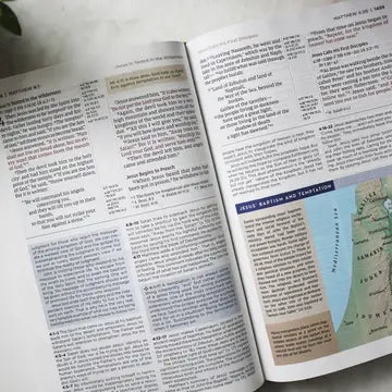 Bible | NIV Application Bible Hardcover-  Multi Cream Red Letter