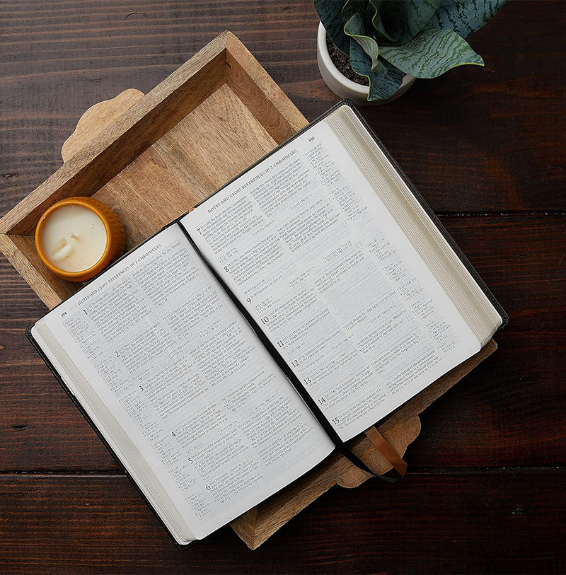 Bible | NABRE Large Print Edition, Leathersoft, Brown