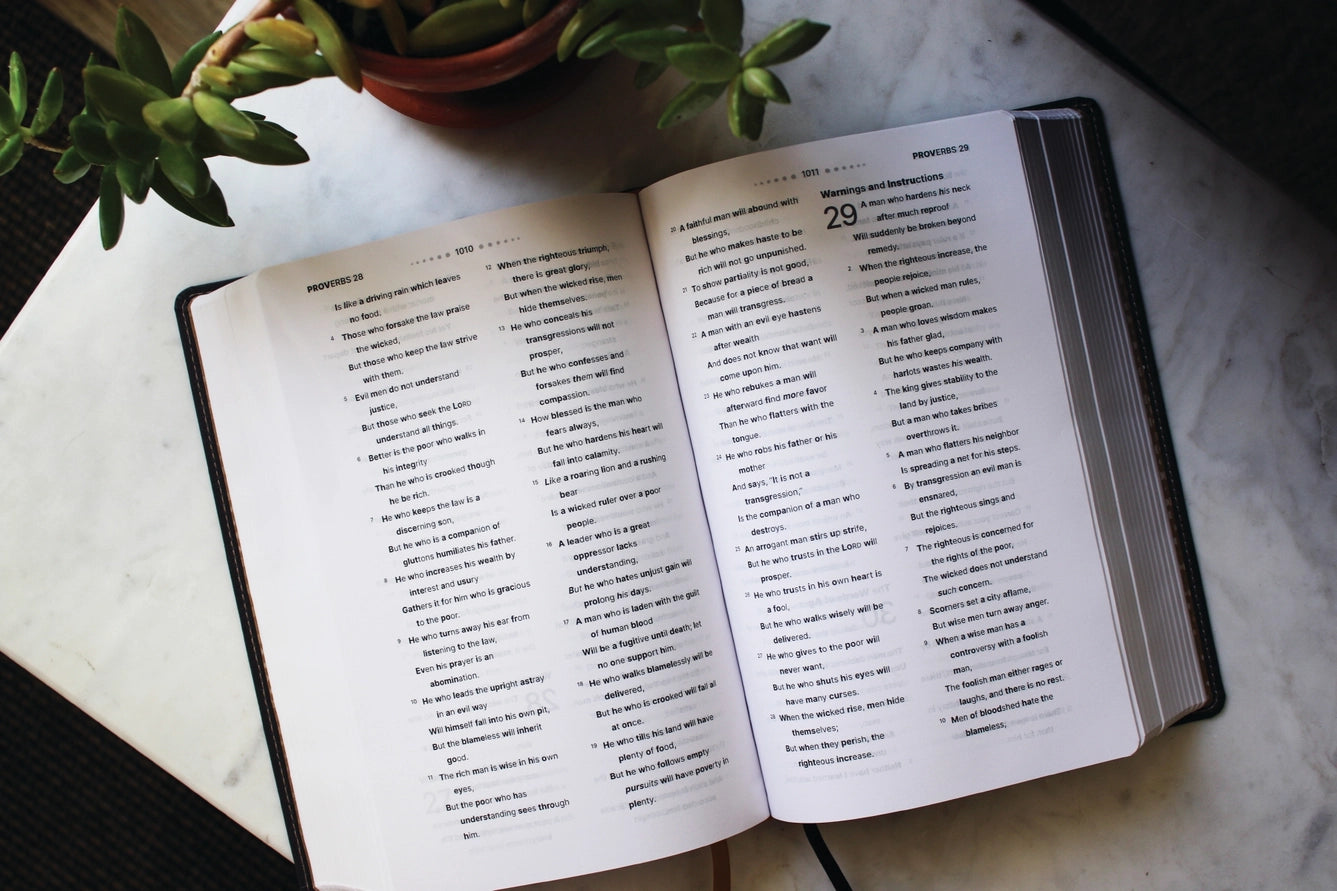Bible | NASB, Clear Focus Bible, Leathersoft, Charcoal Brown
