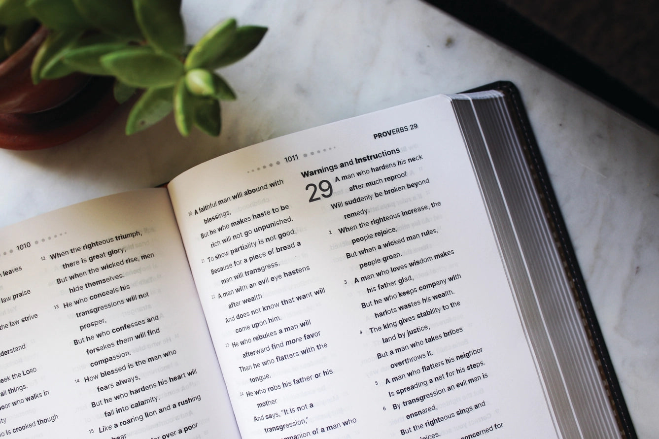 Bible | NASB, Clear Focus Bible, Leathersoft, Charcoal Brown