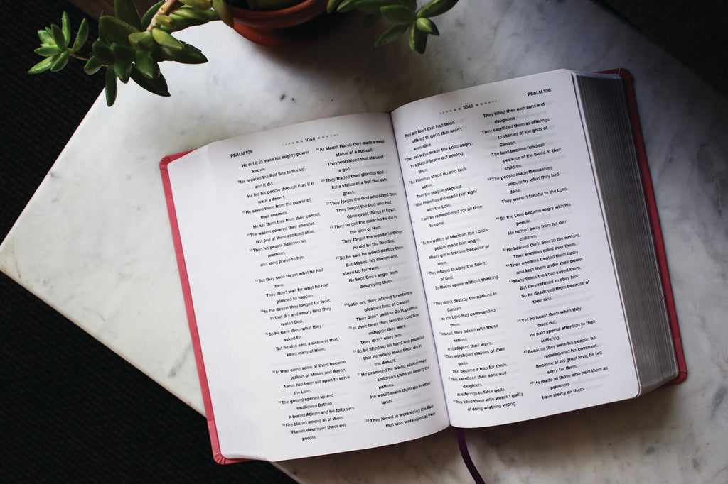 Bible | NIrV, Clear Focus Bible For Kids, Leathersoft, Pink