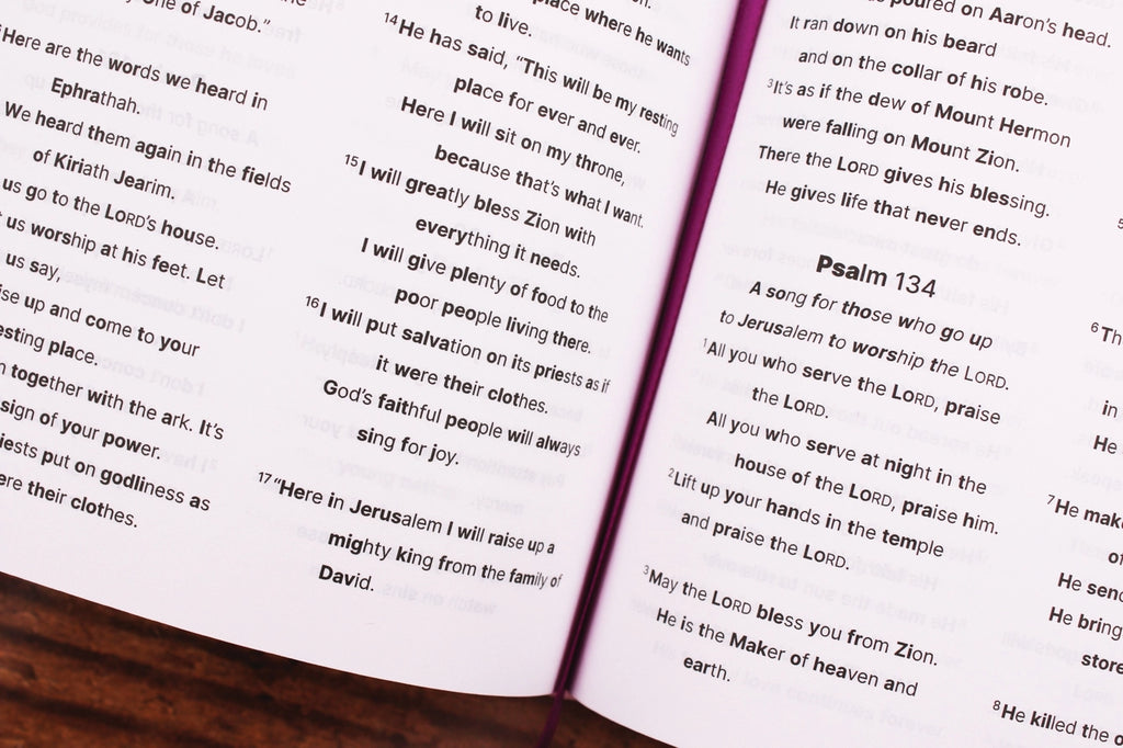 Bible | NIrV, Clear Focus Bible For Kids, Leathersoft, Pink