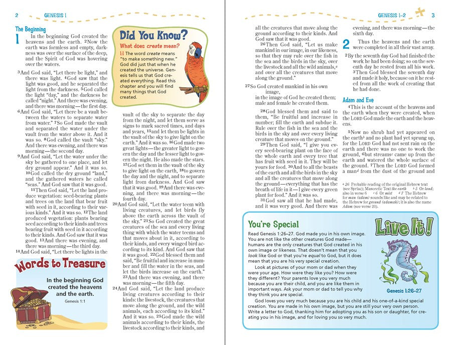 Bible | NIV, Adventure Bible, Paperback, Full Color