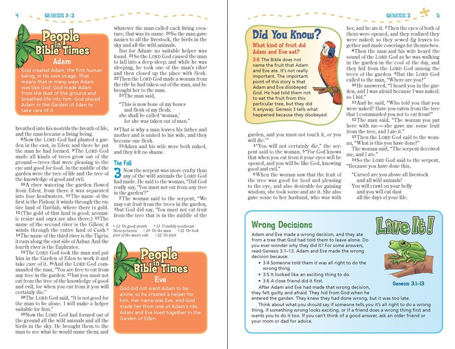 Bible | NIV, Adventure Bible, Paperback, Full Color
