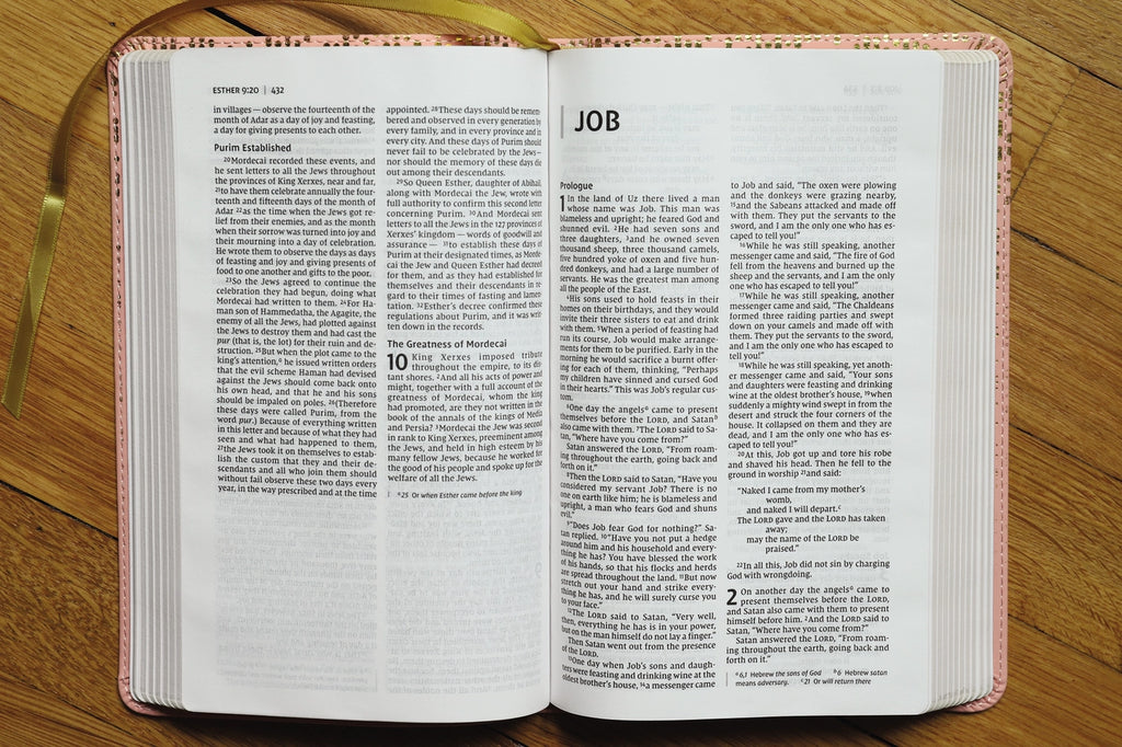 Bible | NIV Bible For Teens, Thinline Edition, Pink Leathersoft