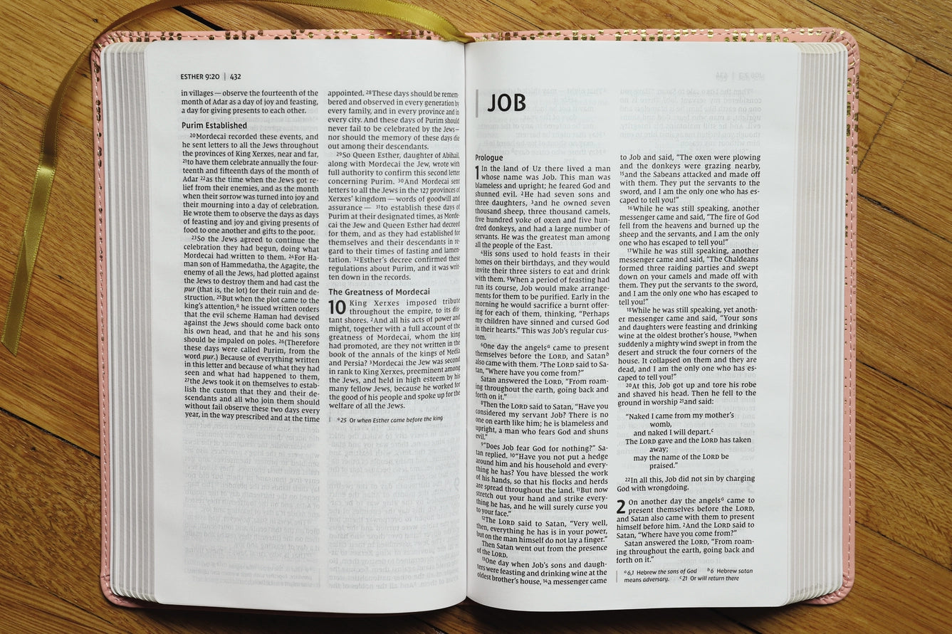 Bible | NIV Bible For Teens, Thinline Edition, Pink Leathersoft