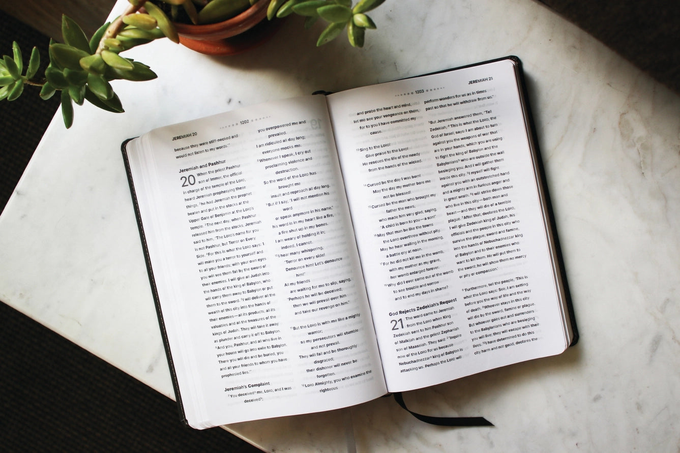 Bible | NIV Clear Focus Bible, Leathersoft, Brown
