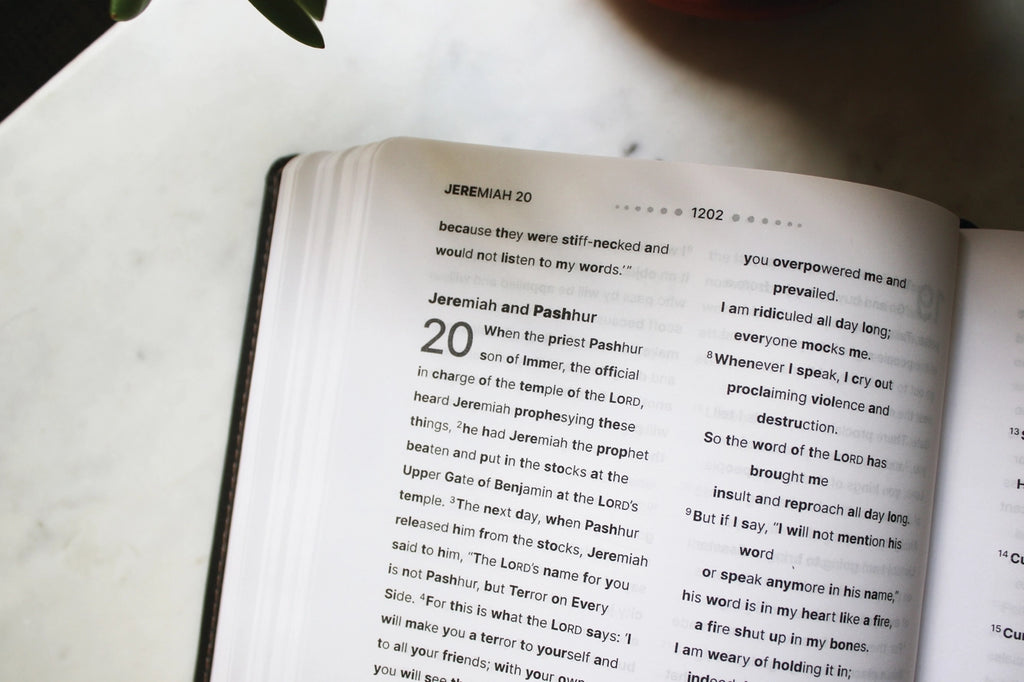 Bible | NIV Clear Focus Bible, Leathersoft, Brown