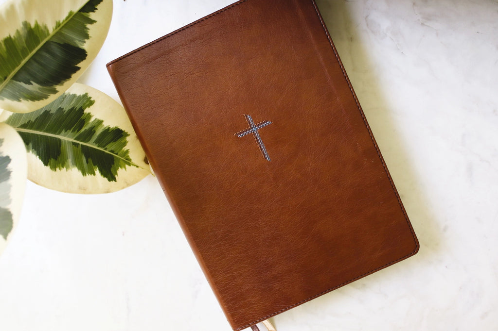 Bible | NIV Quest Study Bible, Large Print, Leathersoft Brown