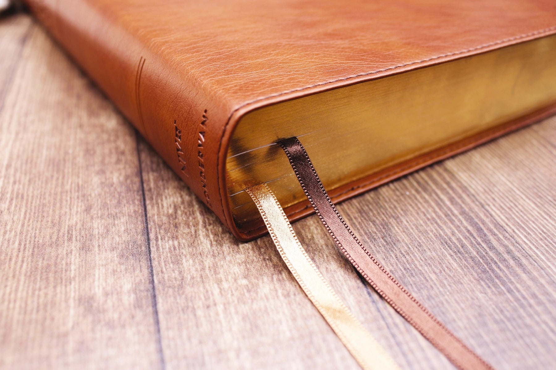 Bible | NIV Quest Study Bible, Large Print, Leathersoft Brown