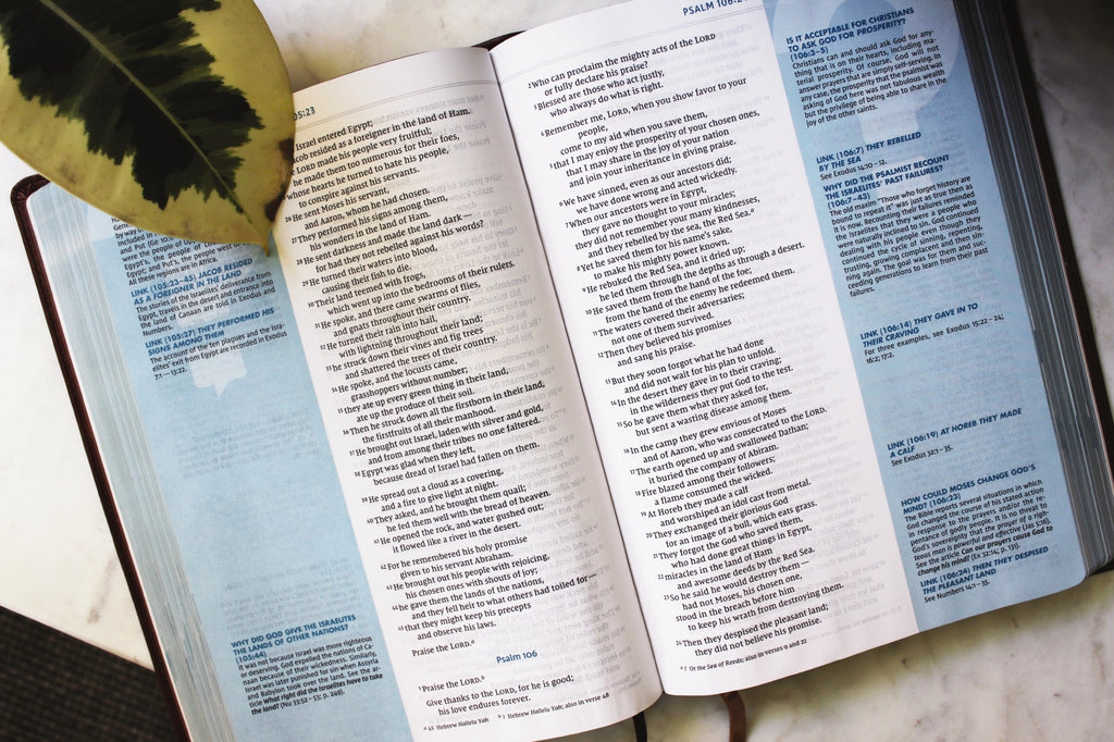 Bible | NIV Quest Study Bible, Large Print, Leathersoft Brown