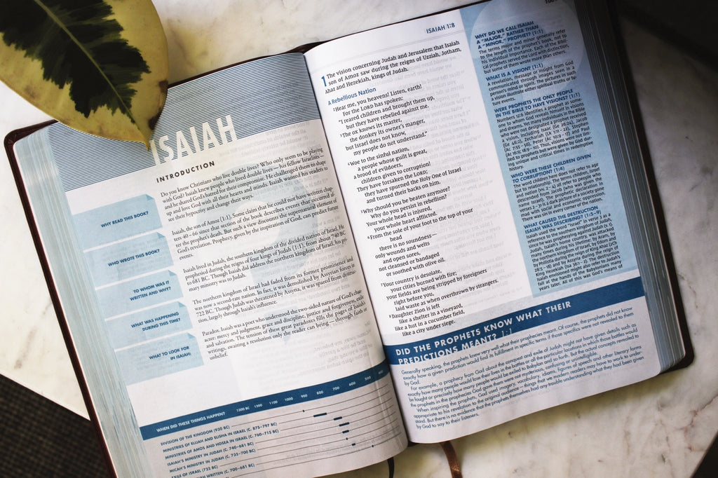 Bible | NIV Quest Study Bible, Large Print, Leathersoft Brown