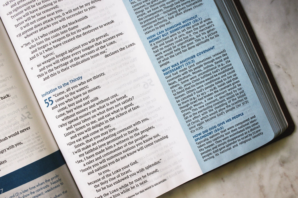 Bible | NIV Quest Study Bible, Large Print, Leathersoft Brown