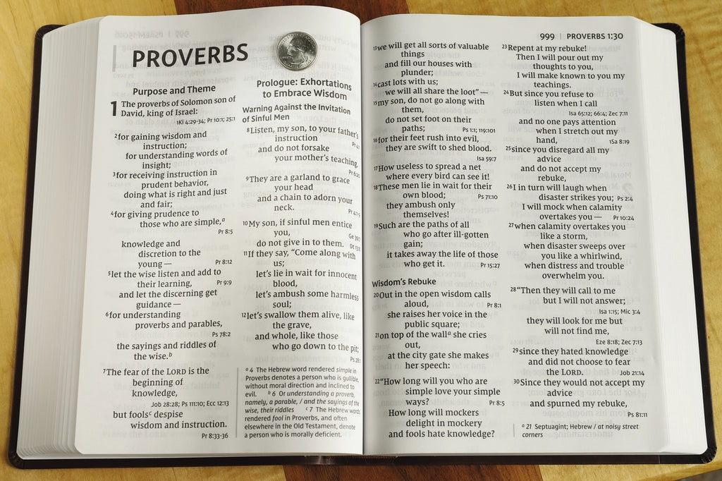 Bible | NIV Super Giant Print Reference Bible, Leathersoft, Brown