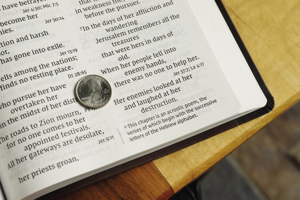 Bible | NIV Super Giant Print Reference Bible, Leathersoft, Brown
