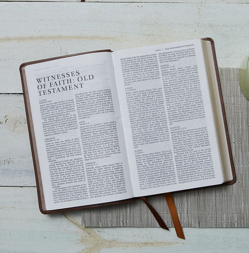 Bible | NRSV Catholic Edition Gift Bible, Brown Leathersoft