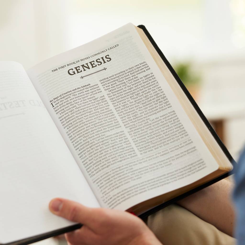 Bible | RSV2CE Thinline, Large Print, Catholic Bible, Leathersoft