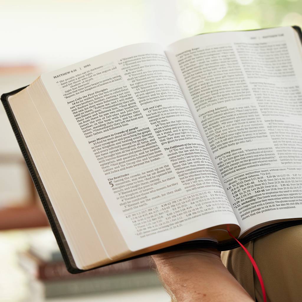 Bible | RSV2CE Thinline, Large Print, Catholic Bible, Leathersoft