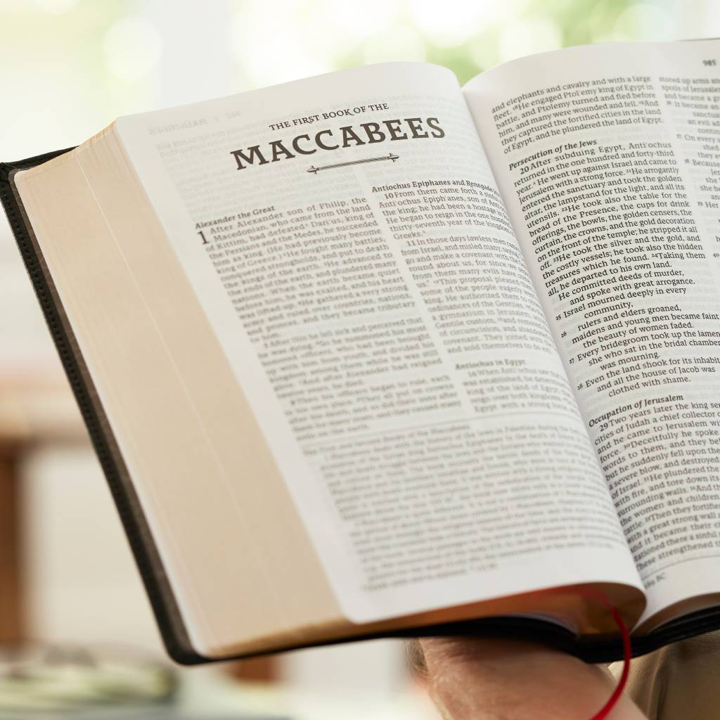 Bible | RSV2CE Thinline, Large Print, Catholic Bible, Leathersoft