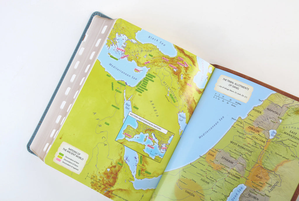 Bible | The Barbour Simplified KJV--Large Print [Rust & Stone Cross]