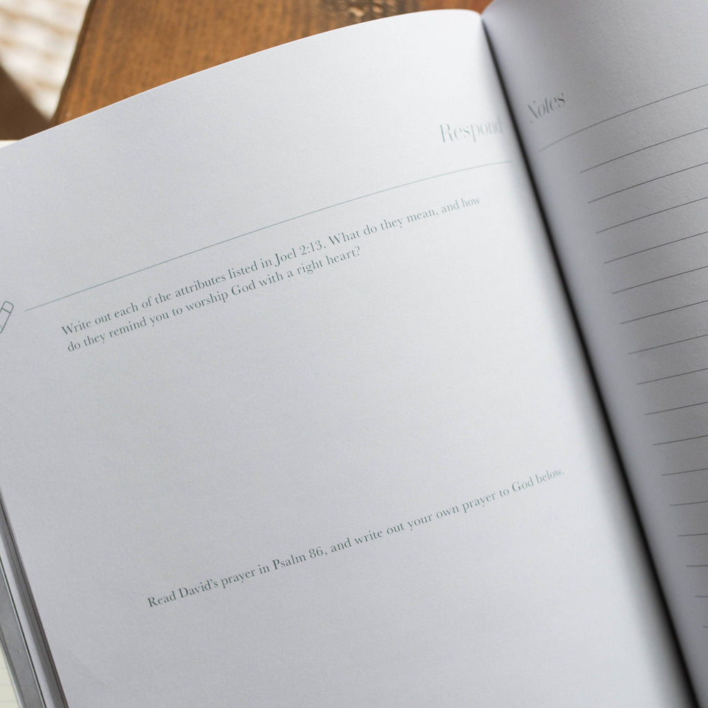 Study | Restored- A Study on the Book of Joel