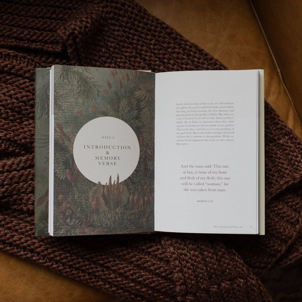 Study | Genesis - Hardcover