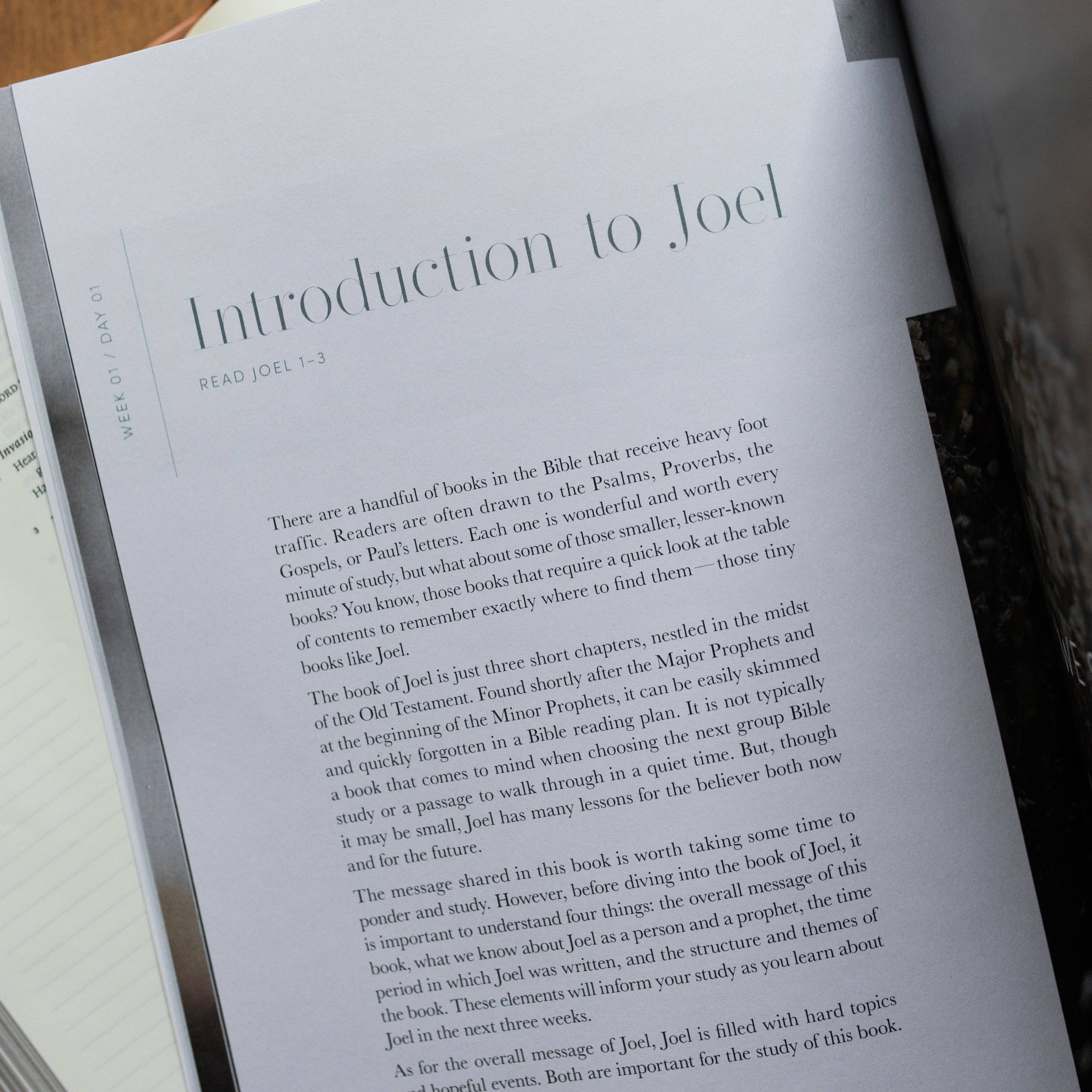 Study | Restored- A Study on the Book of Joel