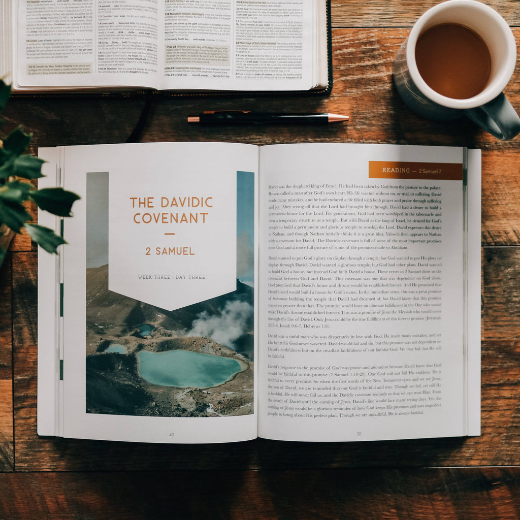 Study | Amen: The Story of Scripture from Eden to Eternity